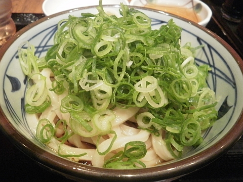 ぶっかけうどん(並)冷