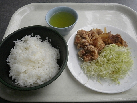 豚生姜焼き＆唐揚げ