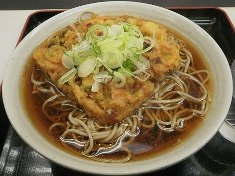 梅もと 薬膳天そば大盛