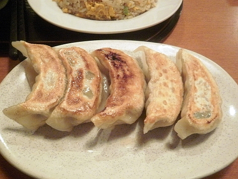 東北餃子房の焼き餃子
